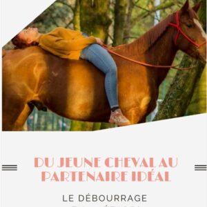 Du jeune cheval au partenaire idéal