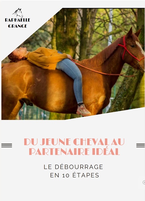 Du jeune cheval au partenaire idéal