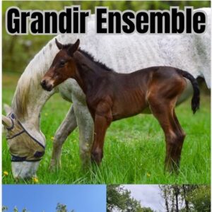 Grandir ensemble