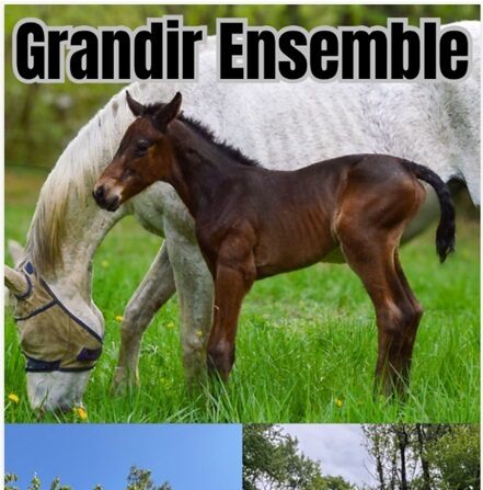 Grandir ensemble